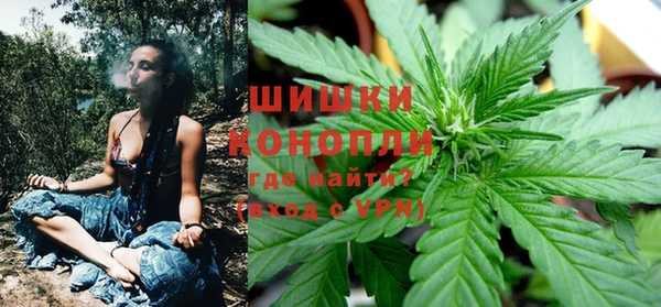 шишки Дмитров