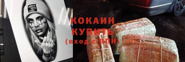 шишки Дмитров