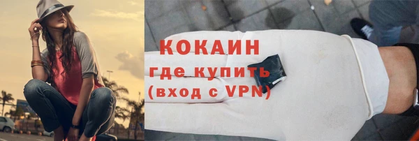 шишки Дмитров