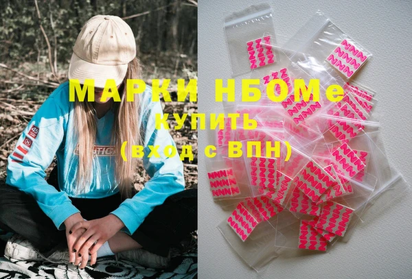 шишки Дмитров