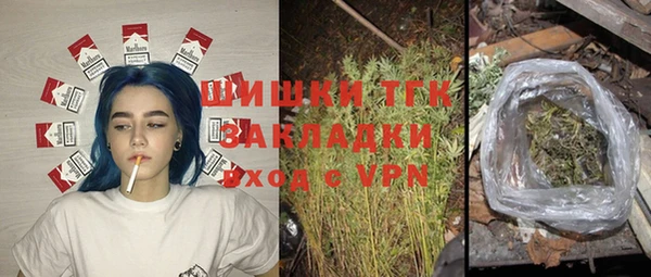 прущая мука Дмитриев