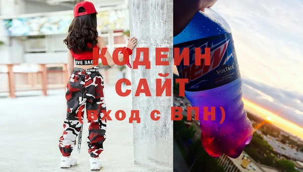 шишки Дмитров