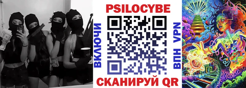 Псилоцибиновые грибы Psilocybe  Купить где  Грайворон 